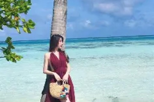 持续加力系统施治防范网红明星偷逃税
